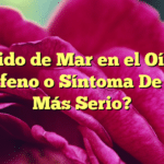 Ruido de Mar en el Oído: ¿Acúfeno o Síntoma De Algo Más Serio?