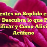 ¿Sientes un Soplido en el Oído? Descubra lo que Podría Significar y Cómo Aliviar el Acúfeno