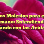 Sonidos Molestos para el Oído Humano: Entendiendo y Lidiando con los Acúfenos