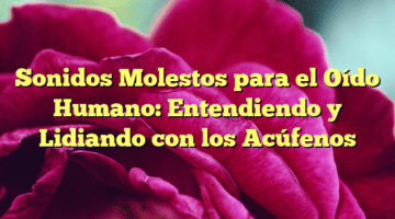 Sonidos Molestos para el Oído Humano: Entendiendo y Lidiando con los Acúfenos