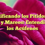 Decodificando los Pitidos en el Oído y Mareos: Entendiendo los Acúfenos