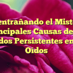 Desentrañando el Misterio: Principales Causas de los Ruidos Persistentes en los Oídos