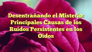 Desentrañando el Misterio: Principales Causas de los Ruidos Persistentes en los Oídos