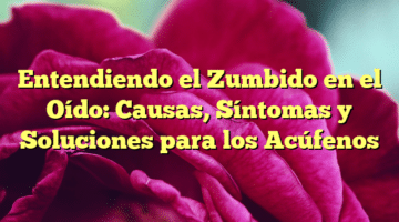Entendiendo el Zumbido en el Oído: Causas, Síntomas y Soluciones para los Acúfenos
