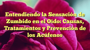 Entendiendo la Sensación de Zumbido en el Oído: Causas, Tratamientos y Prevención de los Acúfenos