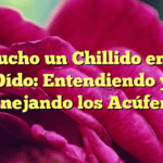 Escucho un Chillido en Mi Oído: Entendiendo y Manejando los Acúfenos