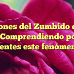 Razones del Zumbido en el Oído: Comprendiendo por qué sientes este fenómeno