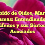 Zumbido de Oídos, Mareos y Náuseas: Entendiendo los Acúfenos y sus Síntomas Asociados