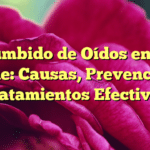 Zumbido de Oídos en la Noche: Causas, Prevención y Tratamientos Efectivos