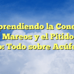 Comprendiendo la Conexión entre Mareos y el Pitido en el Oído: Todo sobre Acúfenos