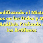 Decodificando el Misterio: Sonidos en los Oídos y Mareos – Un Análisis Profundo sobre los Acúfenos