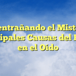 Desentrañando el Misterio: Principales Causas del Ruido en el Oído