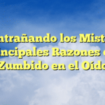 Desentrañando los Misterios: Principales Razones del Zumbido en el Oído