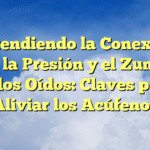 Entendiendo la Conexión entre la Presión y el Zumbido en los Oídos: Claves para Aliviar los Acúfenos