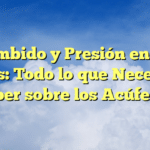 Zumbido y Presión en los Oídos: Todo lo que Necesitas Saber sobre los Acúfenos