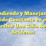 Entendiendo y Manejando el Zumbido Constante en el Oído Derecho: Una Guía Sobre Acúfenos