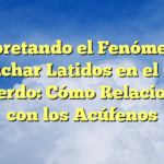 Interpretando el Fenómeno de Escuchar Latidos en el Oído Izquierdo: Cómo Relacionarlo con los Acúfenos