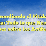Comprendiendo el Pitido en la Cabeza: Todo lo que Necesitas Saber sobre los Acúfenos