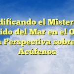 Decodificando el Misterio del Sonido del Mar en el Oído: Una Perspectiva sobre los Acúfenos