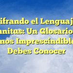 Descifrando el Lenguaje del Tinnitus: Un Glosario de Términos Imprescindibles que Debes Conocer