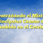 Desentrañando el Misterio: Principales Causas del Zumbido en el Cerebro