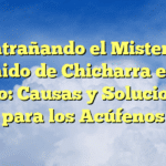 Desentrañando el Misterio del Sonido de Chicharra en el Oído: Causas y Soluciones para los Acúfenos