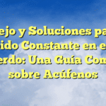 Manejo y Soluciones para el Zumbido Constante en el Oído Izquierdo: Una Guía Completa sobre Acúfenos