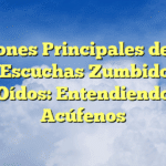 Razones Principales de Por Qué Escuchas Zumbidos en los Oídos: Entendiendo los Acúfenos
