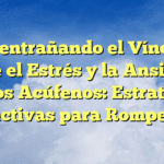 Desentrañando el Vínculo entre el Estrés y la Ansiedad con los Acúfenos: Estrategias Efectivas para Romperlo