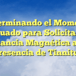 Determinando el Momento Adecuado para Solicitar una Resonancia Magnética ante la Presencia de Tinnitus