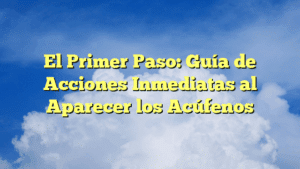 El Primer Paso: Guía de Acciones Inmediatas al Aparecer los Acúfenos
